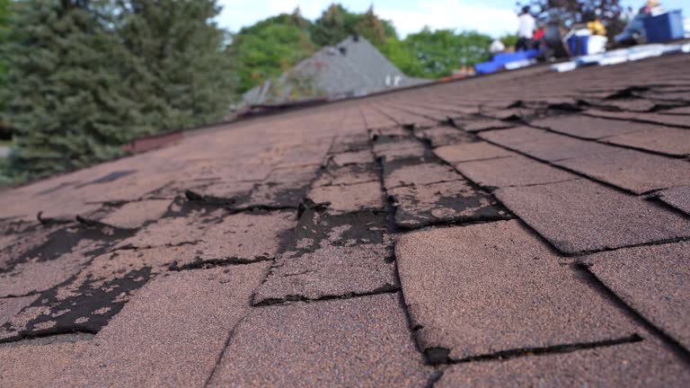 Best 4 Ply Roofing  in Pana, IL