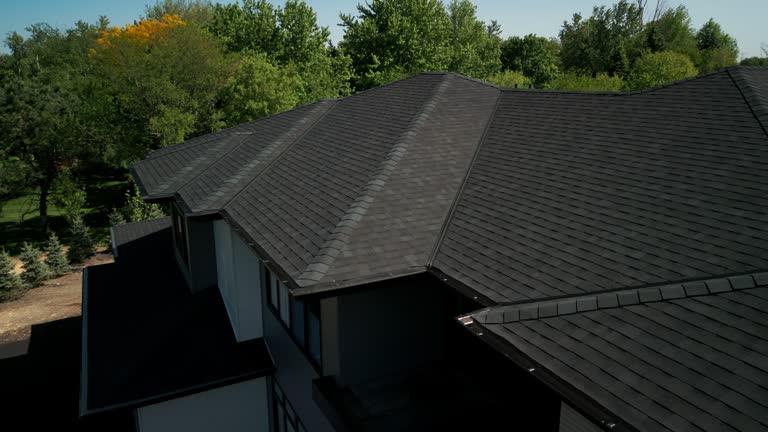 Best Skylight Installation and Repair  in Pana, IL