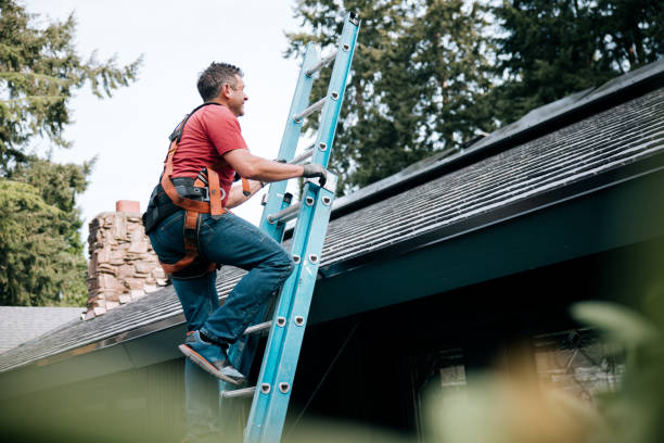 Best Roof Waterproofing  in Pana, IL