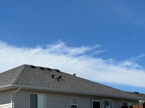 Best Steel Roofing  in Pana, IL
